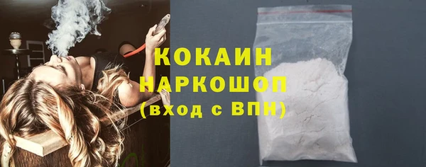 spice Козельск