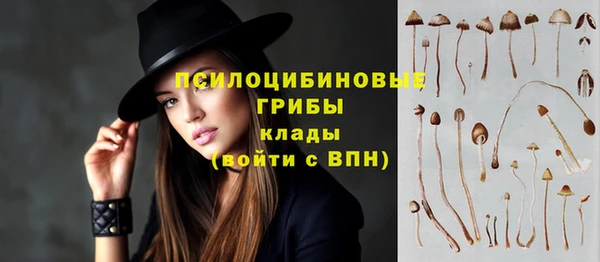 синтетический гашиш Козловка