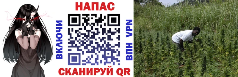 МАРИХУАНА THC 21% Купить где Горнозаводск